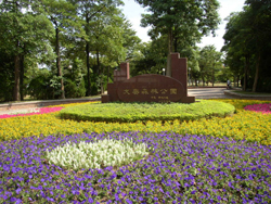 Daan Park - Teaching English in Taiwan